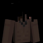 Shadow_2137 body