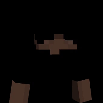 va3ss_ body