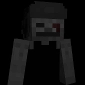 8681 body
