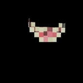 skiersiu body