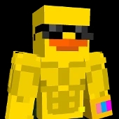 clownish_fool body