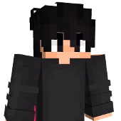 stleoo body