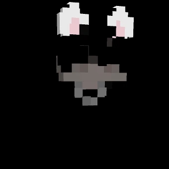 leoix_2000 body