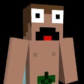 skibidikrecik137 body